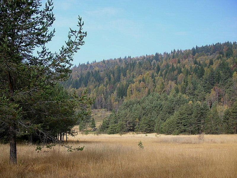 Riserva Naturale Pian Gembro